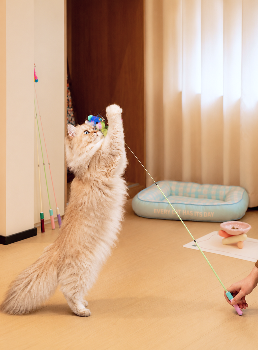 Cat Teaser Fishing Rod