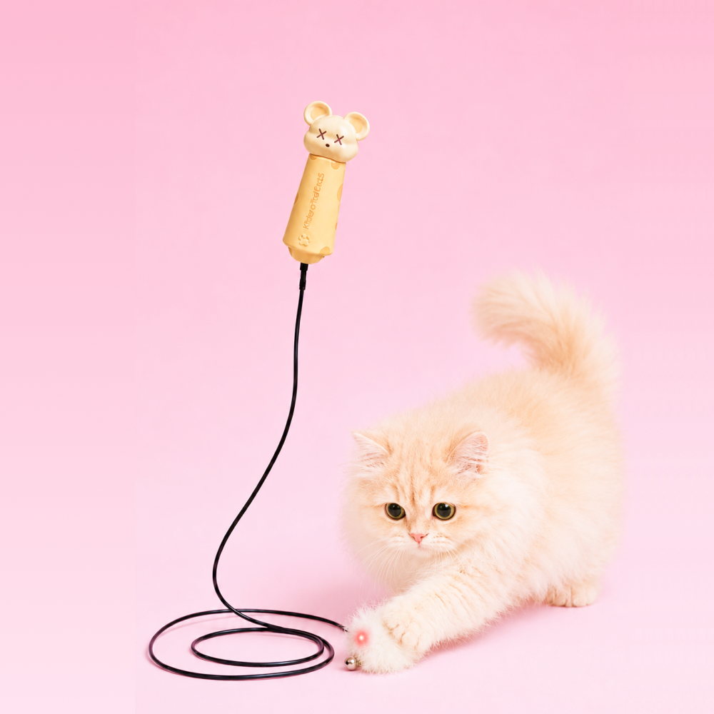 Laser Cat Teaser