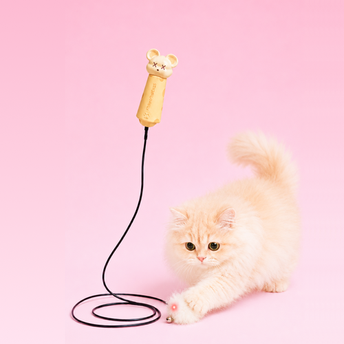 Laser Cat Teaser
