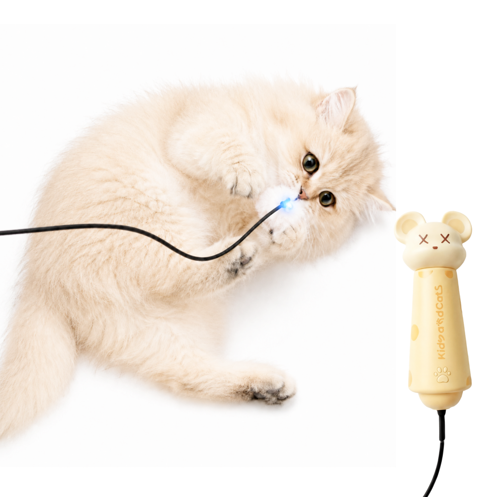 Laser Cat Teaser