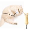 Laser Cat Teaser