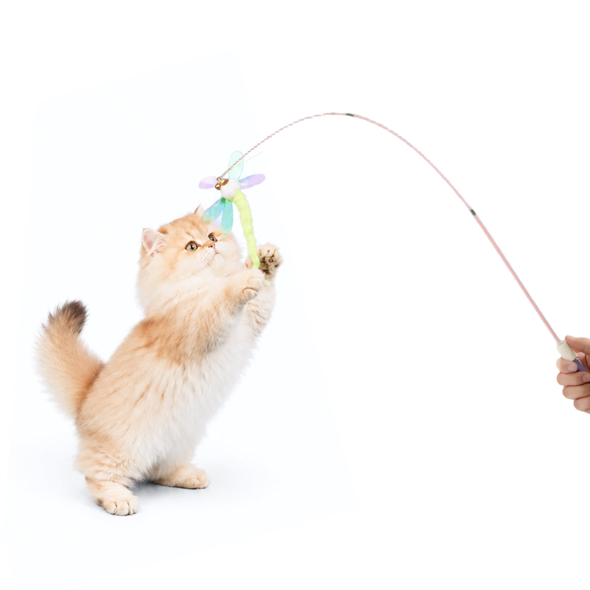 Cat Teaser Fishing Rod